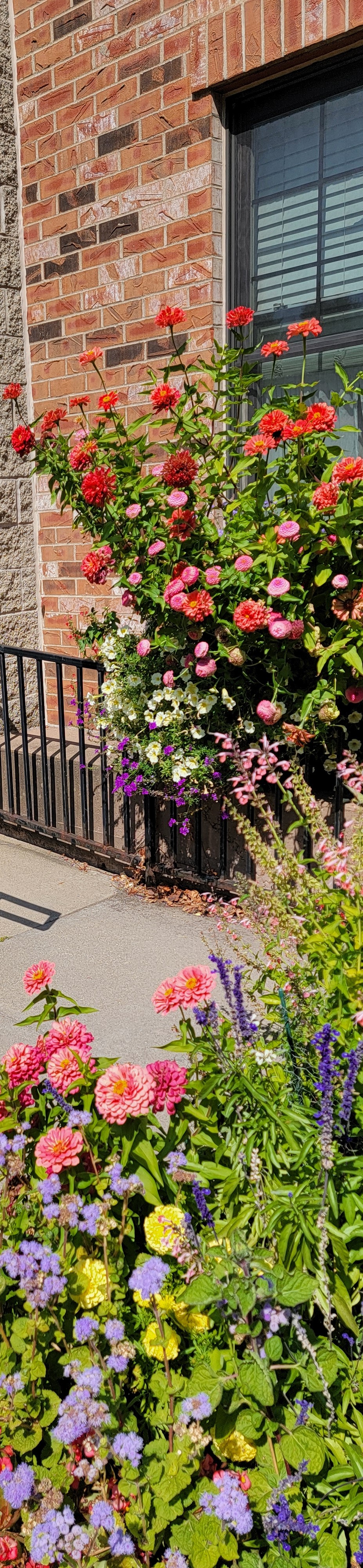 Welcome to Lofts on Founders Square Homeowners Association!